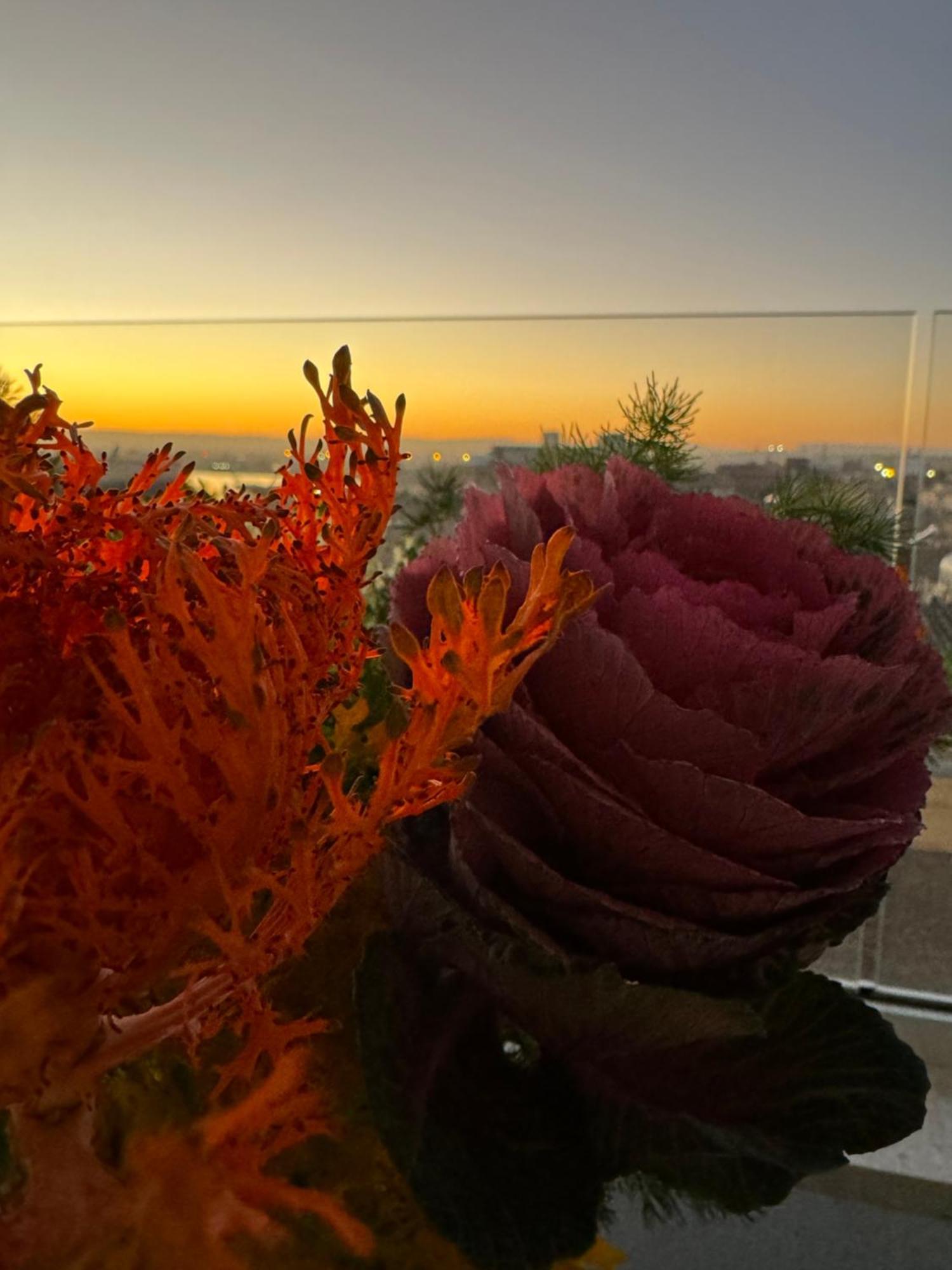 Bed and Breakfast La Terrazza Sul Porto à Syracuse Extérieur photo